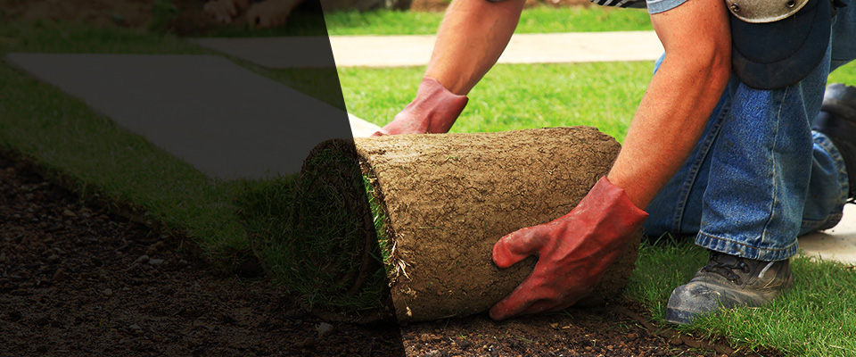 Westerville Landscapers